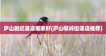 庐山附近酒店哪家好(庐山牯岭街酒店推荐)