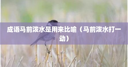 成语马前泼水是用来比喻（马前泼水打一动）