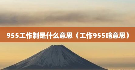 955工作制是什么意思（工作955啥意思）