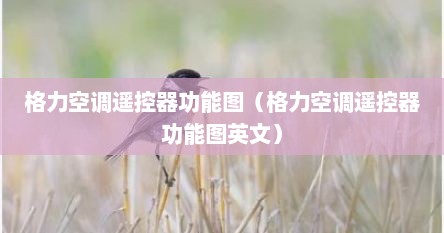 格力空调遥控器功能图（格力空调遥控器功能图英文）