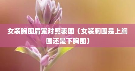 女装胸围线和腰围线的确定（女装肩宽胸围怎么选）