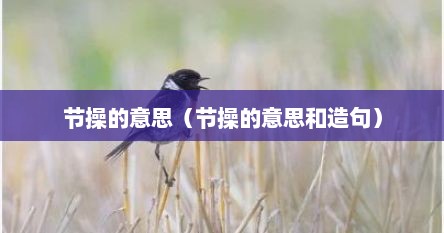 节操的意思（节操的意思和造句）