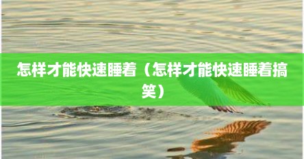怎样才能快速睡着（怎样才能快速睡着搞笑）