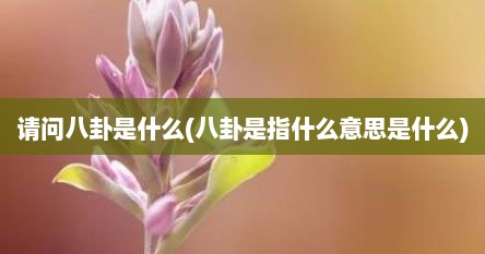 请问八卦是什么(八卦是指什么意思是什么)