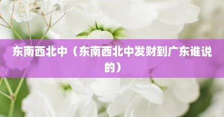 东南西北中（东南西北中发财到广东谁说的）