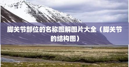 脚关节部位的名称图解图片大全（脚关节的结构图）