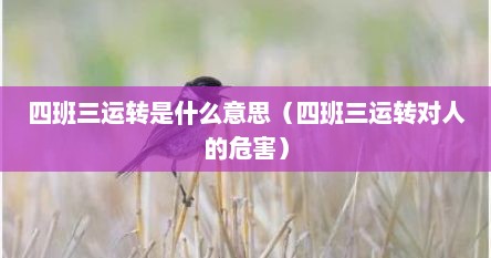 四班三运转是什么意思（四班三运转对人的危害）