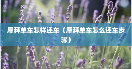 摩拜单车怎样还车（摩拜单车怎么还车步骤）