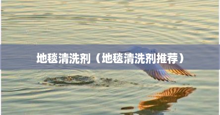 地毯清洗剂（地毯清洗剂推荐）