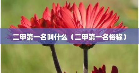 二甲第一名叫什么（二甲第一名俗称）