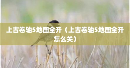 上古卷轴5地图全开（上古卷轴5地图全开怎么关）