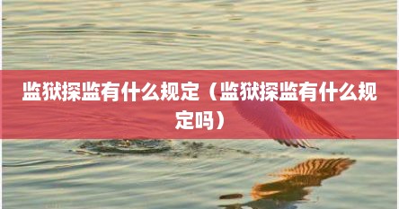 监狱探监有什么规定（监狱探监有什么规定吗）