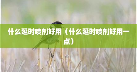 什么延时喷剂好用（什么延时喷剂好用一点）
