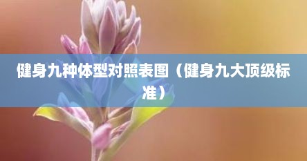 健身体型对比图（健身的几种身形）