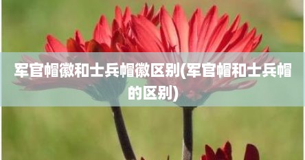 军官帽徽和士兵帽徽区别(军官帽和士兵帽的区别)