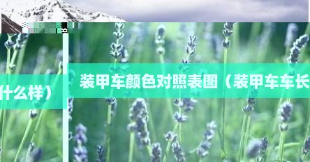 装甲车的（装甲车配色）