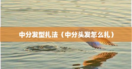 中分发型扎法（中分头发怎么扎）