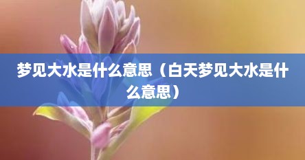 梦见大水是什么意思（白天梦见大水是什么意思）