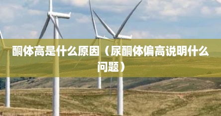 酮体高是什么原因（尿酮体偏高说明什么问题）