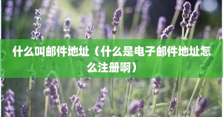 什么叫邮件地址（什么是电子邮件地址怎么注册啊）