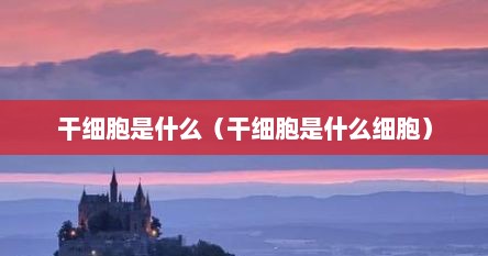 干细胞是什么（干细胞是什么细胞）