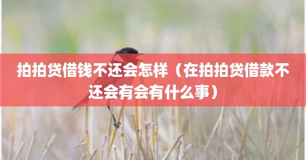 拍拍贷借钱不还会怎样（在拍拍贷借款不还会有会有什么事）