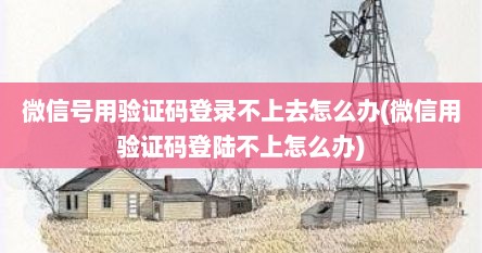 微信号用验证码登录不上去怎么办(微信用验证码登陆不上怎么办)