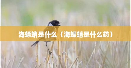 海螵蛸是什么（海螵蛸是什么药）