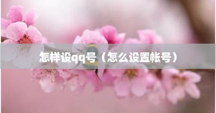 怎样设qq号（怎么设置帐号）