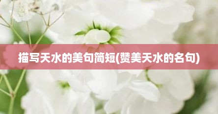 描写天水的美句简短(赞美天水的名句)