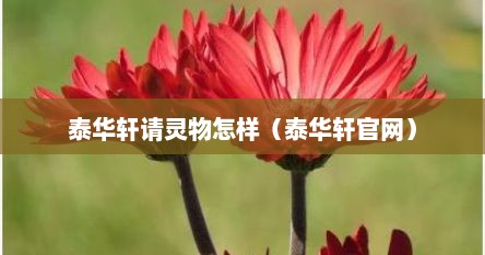 泰华轩请灵物怎样（泰华轩官网）