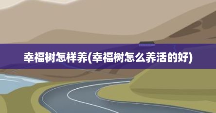 幸福树怎样养(幸福树怎么养活的好)