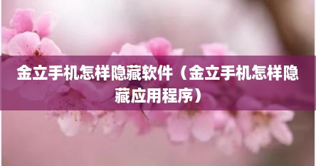 金立手机怎样隐藏软件（金立手机怎样隐藏应用程序）