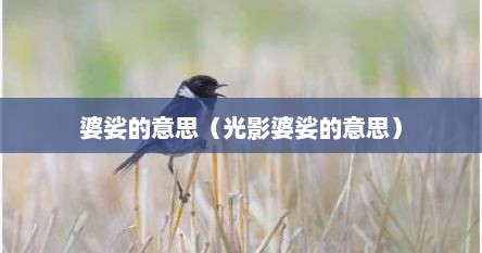 婆娑的意思（光影婆娑的意思）