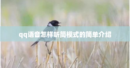 qq语音怎样听筒模式的简单介绍