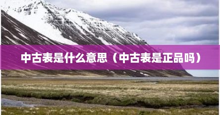 中古表是什么意思（中古表是正品吗）