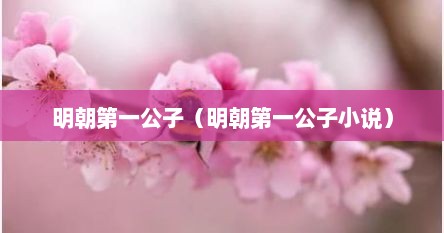 明朝第一公子（明朝第一公子小说）