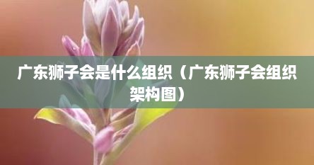广东狮子会是什么组织（广东狮子会组织架构图）