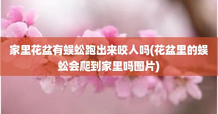 家里花盆有蜈蚣跑出来咬人吗(花盆里的蜈蚣会爬到家里吗图片)