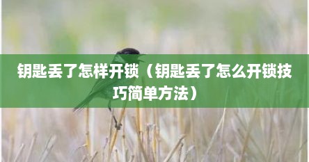 钥匙丢了怎样开锁（钥匙丢了怎么开锁技巧简单方法）