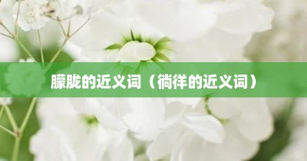 朦胧的近义词（徜徉的近义词）