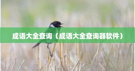 成语大全查询（成语大全查询器软件）