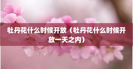 牡丹花什么时候开放（牡丹花什么时候开放一天之内）