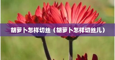 胡萝卜怎样切丝（胡萝卜怎样切丝儿）