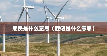屁民是什么意思（屁侬是什么意思）