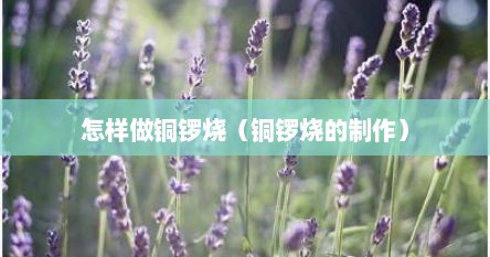 怎样做铜锣烧（铜锣烧的制作）