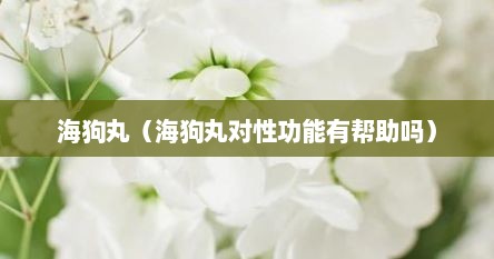 海狗丸（海狗丸对性功能有帮助吗）