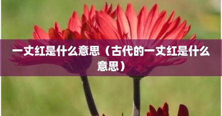一丈红是什么意思（古代的一丈红是什么意思）