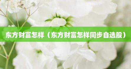 东方财富怎样（东方财富怎样同步自选股）