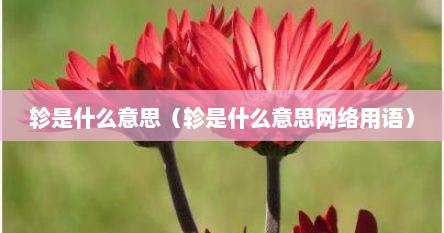 轸是什么意思（轸是什么意思网络用语）